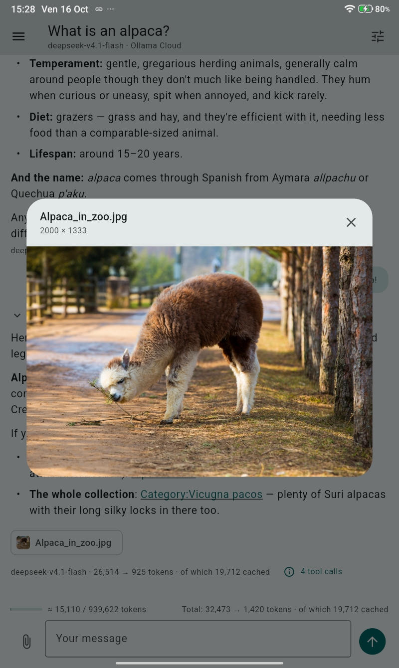 image preview